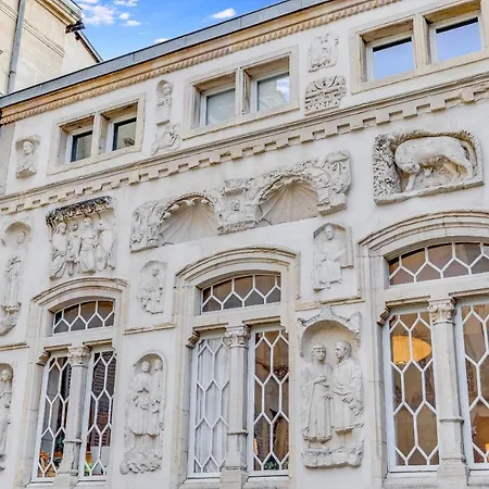 Διαμέρισμα Les Voutes De Bressey : Charme Historique A Ντιζόν